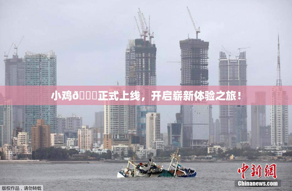小鸡🐔正式上线，开启崭新体验之旅！