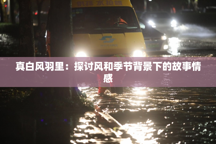 真白风羽里：探讨风和季节背景下的故事情感
