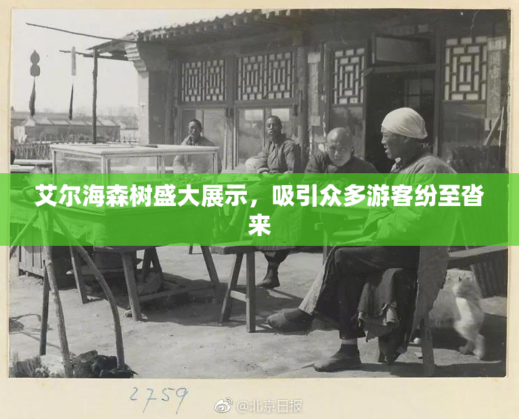 艾尔海森树盛大展示，吸引众多游客纷至沓来