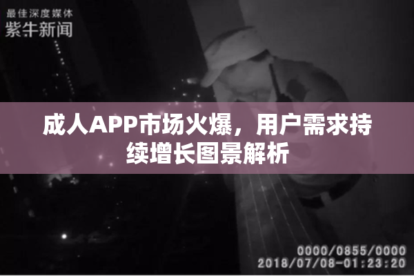 成人APP市场火爆，用户需求持续增长图景解析