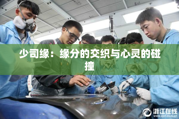 少司缘：缘分的交织与心灵的碰撞