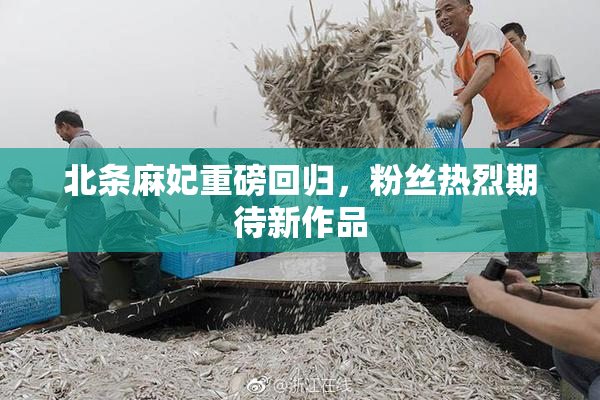 北条麻妃重磅回归，粉丝热烈期待新作品