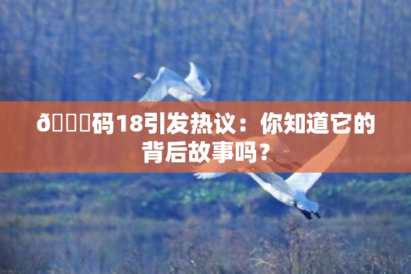 🈚码18引发热议：你知道它的背后故事吗？
