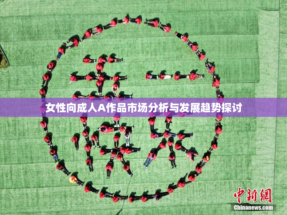 女性向成人A作品市场分析与发展趋势探讨