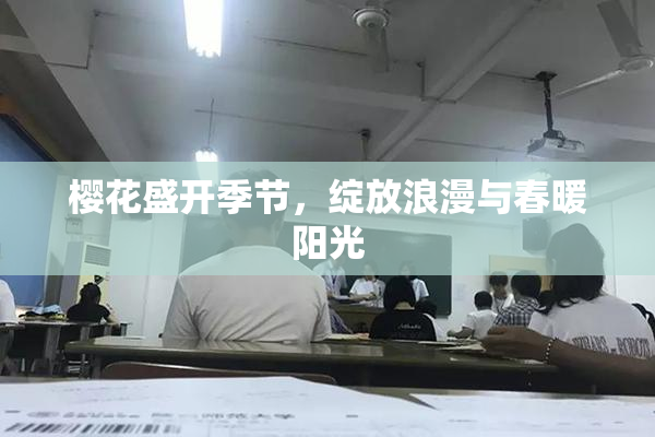 樱花盛开季节，绽放浪漫与春暖阳光