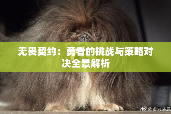 无畏契约：勇者的挑战与策略对决全景解析