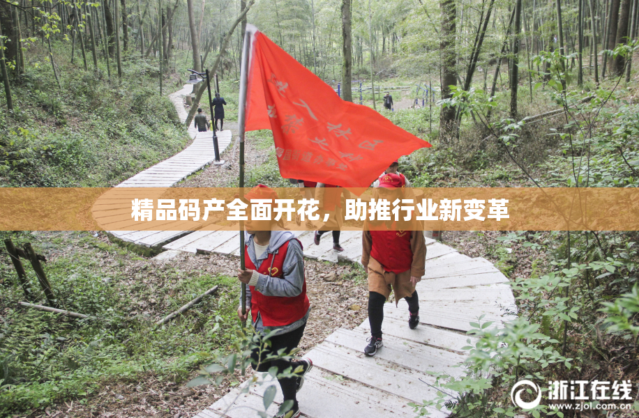 精品码产全面开花，助推行业新变革