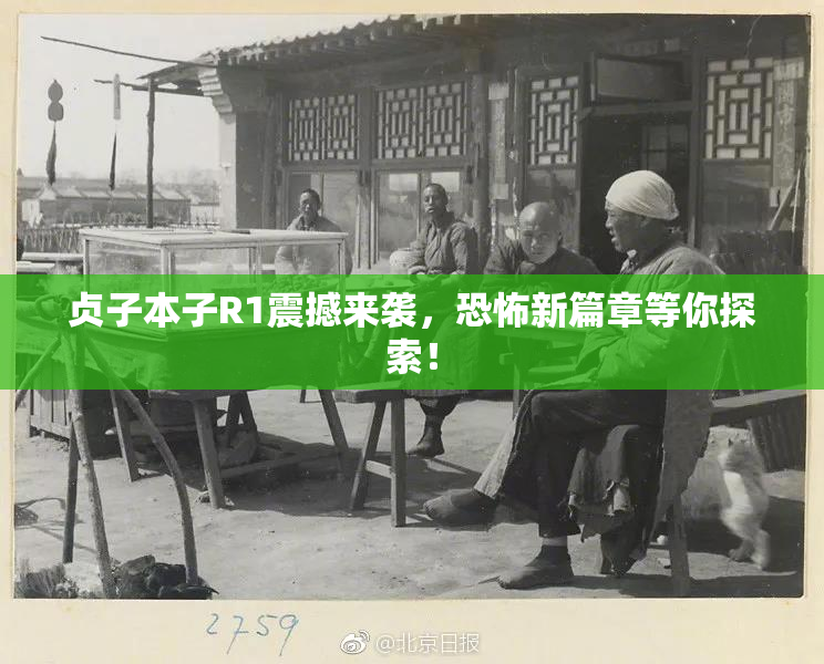 贞子本子R1震撼来袭，恐怖新篇章等你探索！