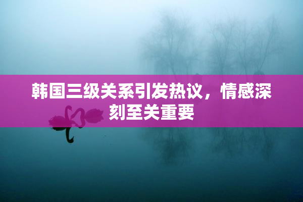 韩国三级关系引发热议，情感深刻至关重要