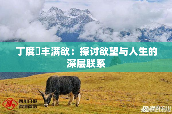 丁度巜丰满欲：探讨欲望与人生的深层联系