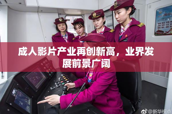成人影片产业再创新高，业界发展前景广阔