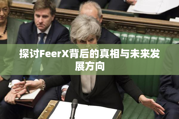 探讨FeerX背后的真相与未来发展方向