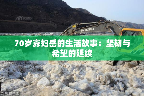 70岁寡妇岳的生活故事：坚韧与希望的延续