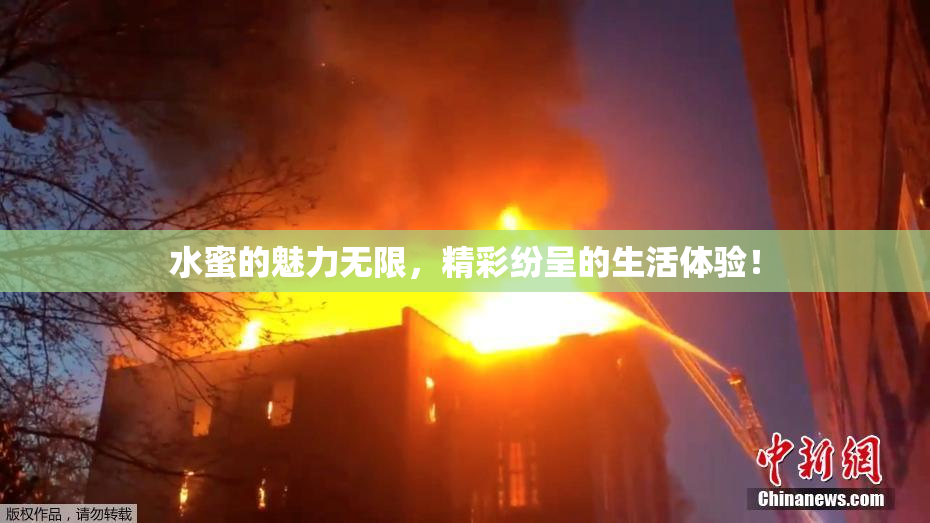 水蜜的魅力无限，精彩纷呈的生活体验！