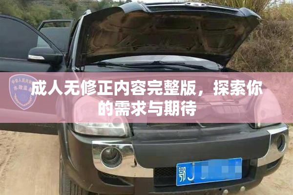成人无修正内容完整版，探索你的需求与期待