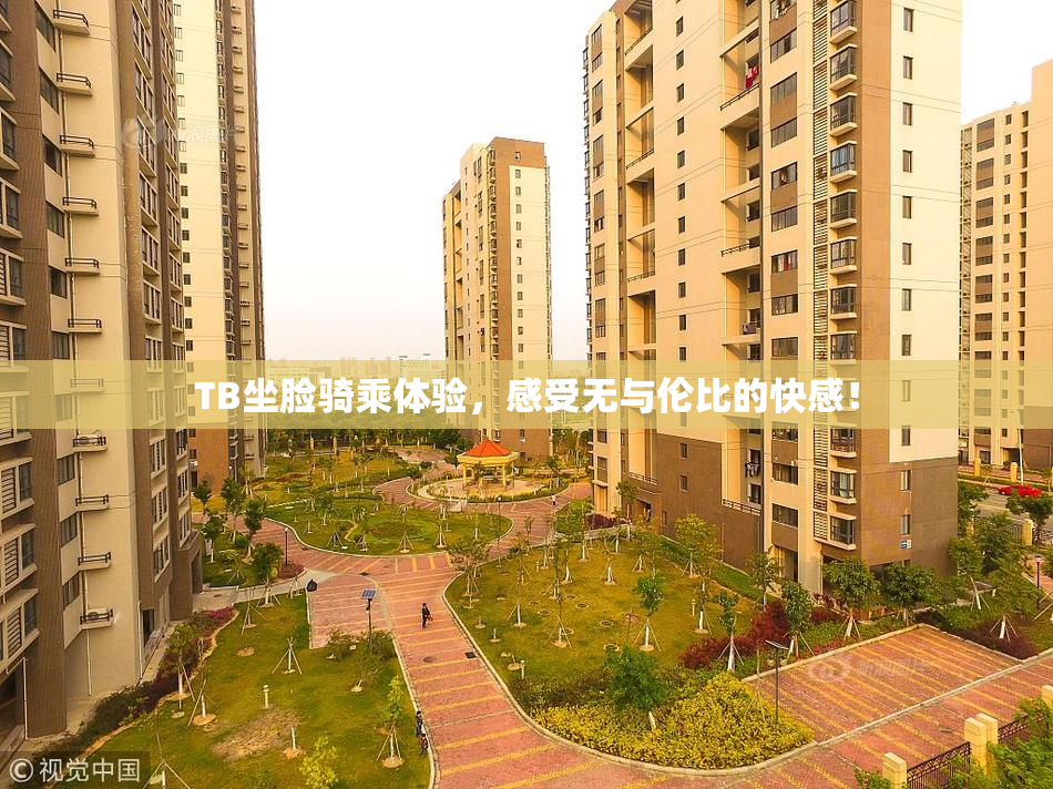 TB坐脸骑乘体验，感受无与伦比的快感！