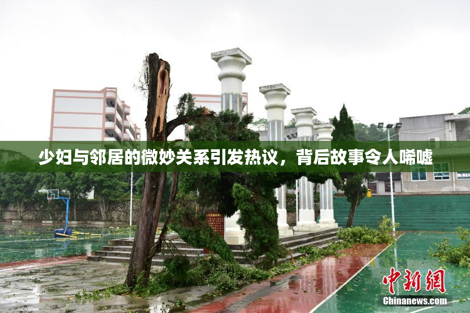 少妇与邻居的微妙关系引发热议，背后故事令人唏嘘