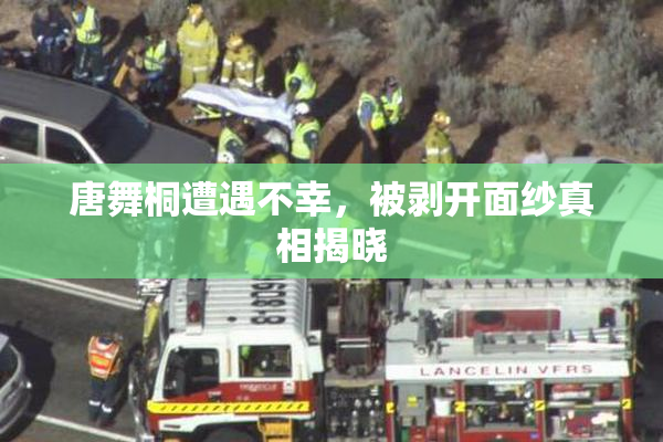 唐舞桐遭遇不幸，被剥开面纱真相揭晓