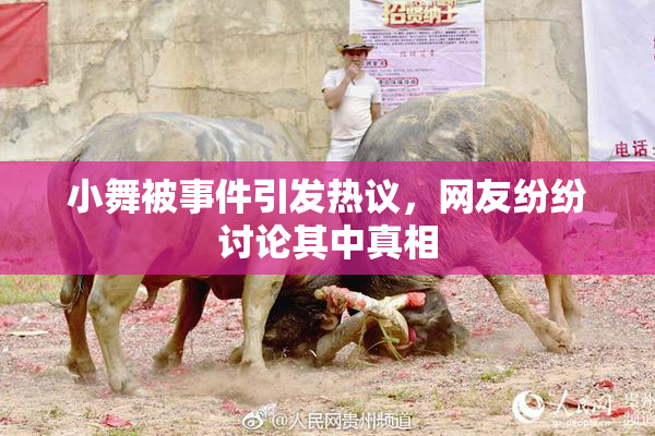 小舞被事件引发热议，网友纷纷讨论其中真相