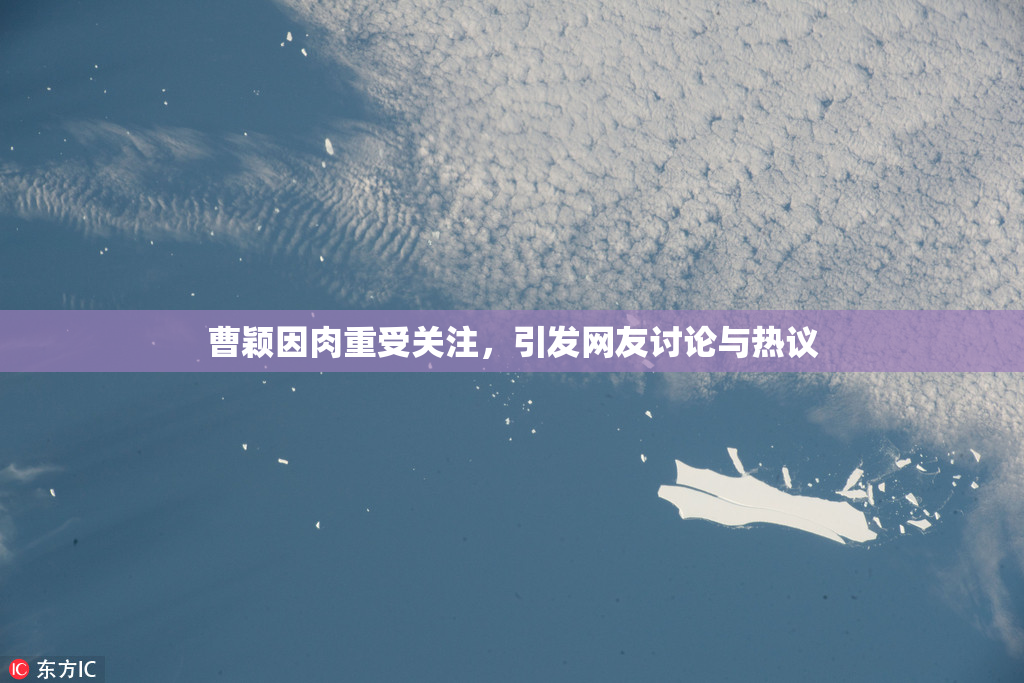 曹颖因肉重受关注，引发网友讨论与热议