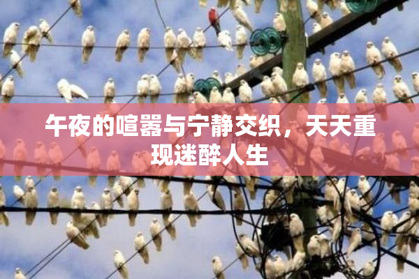 午夜的喧嚣与宁静交织，天天重现迷醉人生