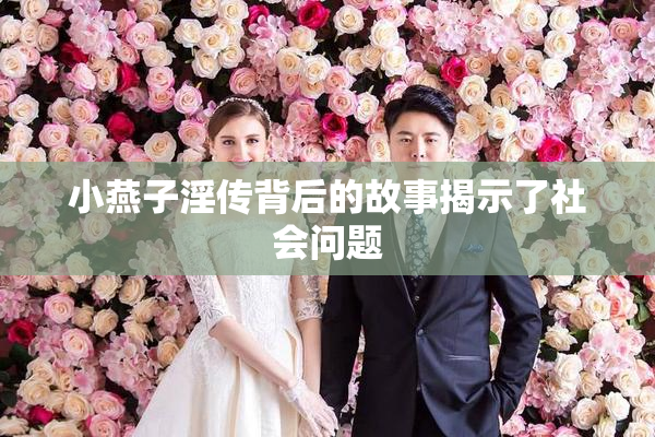 小燕子淫传背后的故事揭示了社会问题