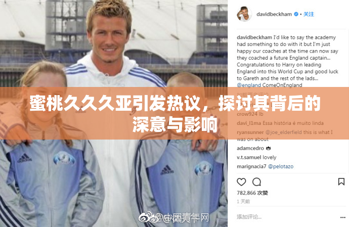 蜜桃久久久亚引发热议，探讨其背后的深意与影响