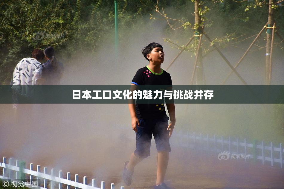 日本工口文化的魅力与挑战并存