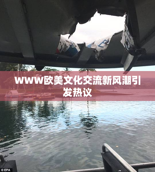 WWW欧美文化交流新风潮引发热议