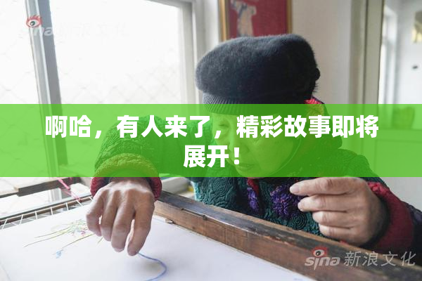 啊哈，有人来了，精彩故事即将展开！