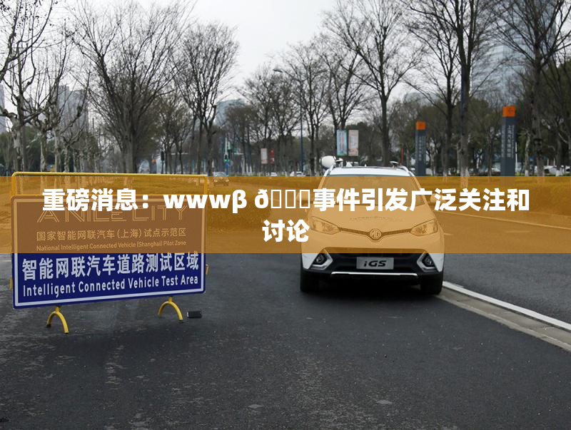 重磅消息：wwwβ 👙事件引发广泛关注和讨论