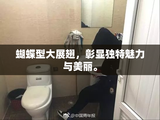 蝴蝶型大展翅，彰显独特魅力与美丽。