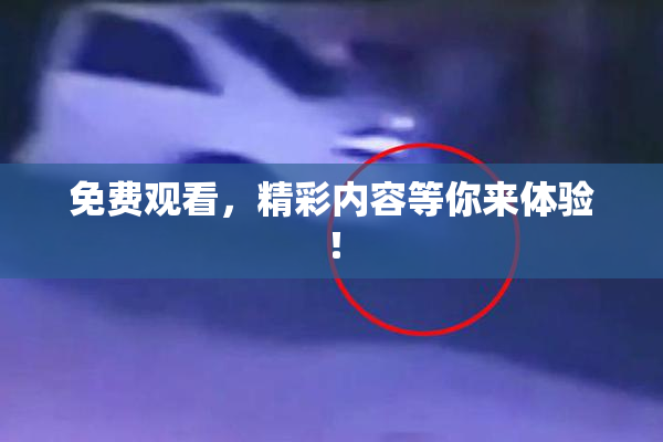 免费观看，精彩内容等你来体验！