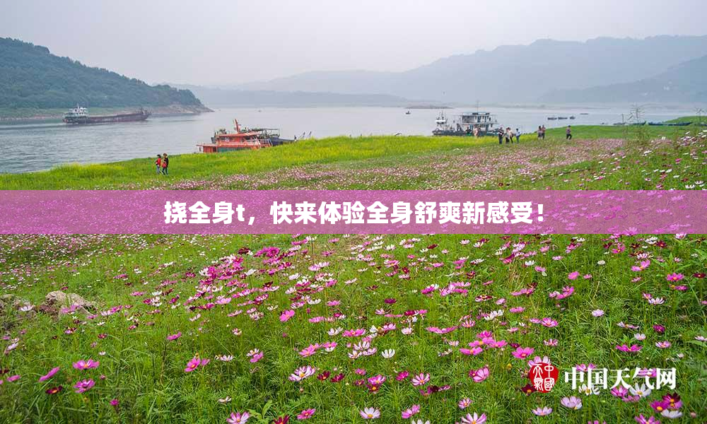 挠全身t，快来体验全身舒爽新感受！