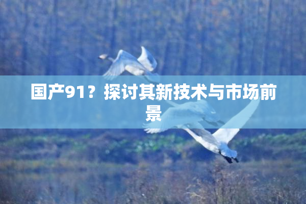 国产91？探讨其新技术与市场前景