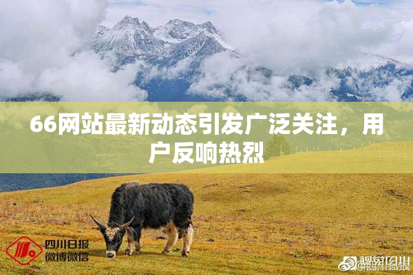 66网站最新动态引发广泛关注，用户反响热烈