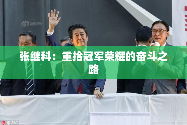 张继科：重拾冠军荣耀的奋斗之路