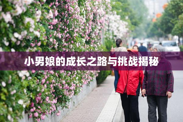 小男娘的成长之路与挑战揭秘
