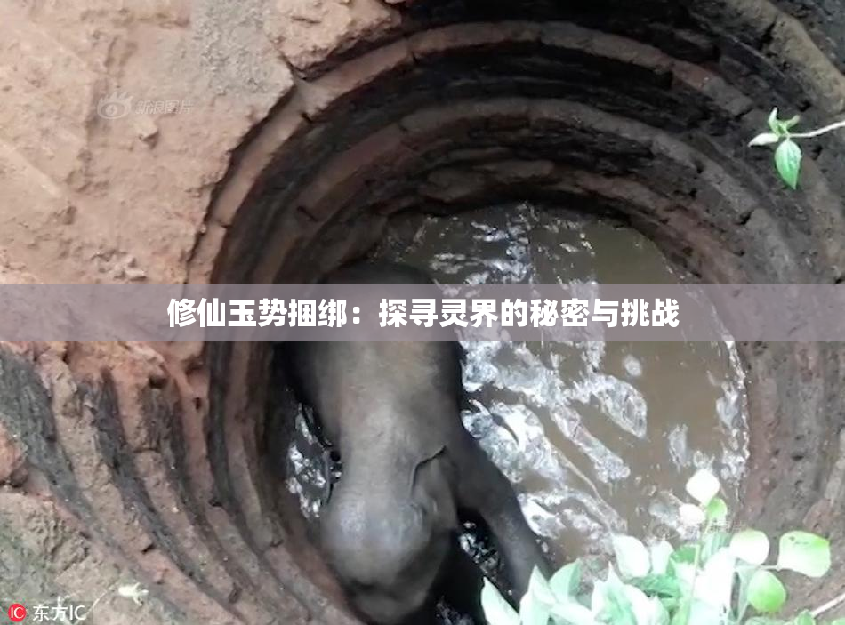 修仙玉势捆绑：探寻灵界的秘密与挑战