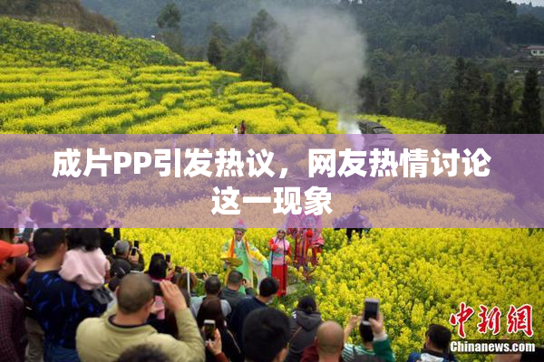 成片PP引发热议，网友热情讨论这一现象