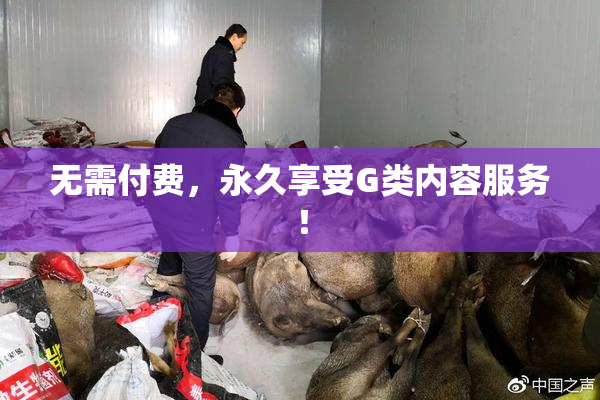 无需付费，永久享受G类内容服务！