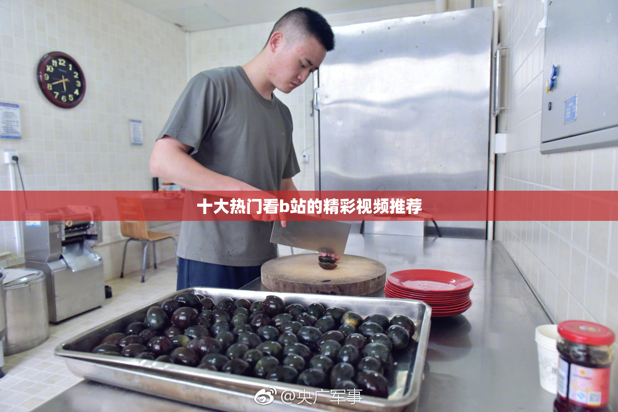 十大热门看b站的精彩视频推荐