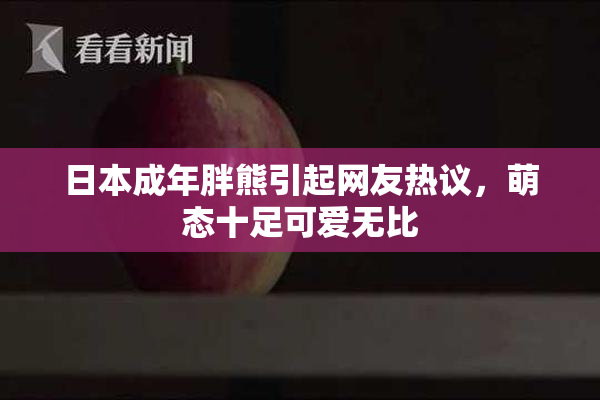 日本成年胖熊引起网友热议，萌态十足可爱无比