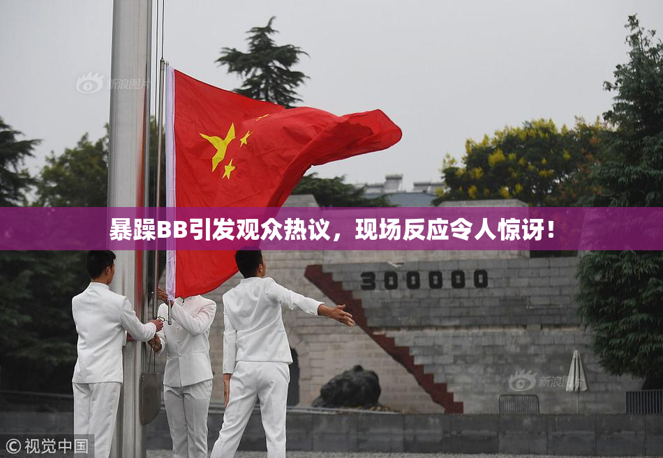 暴躁BB引发观众热议，现场反应令人惊讶！