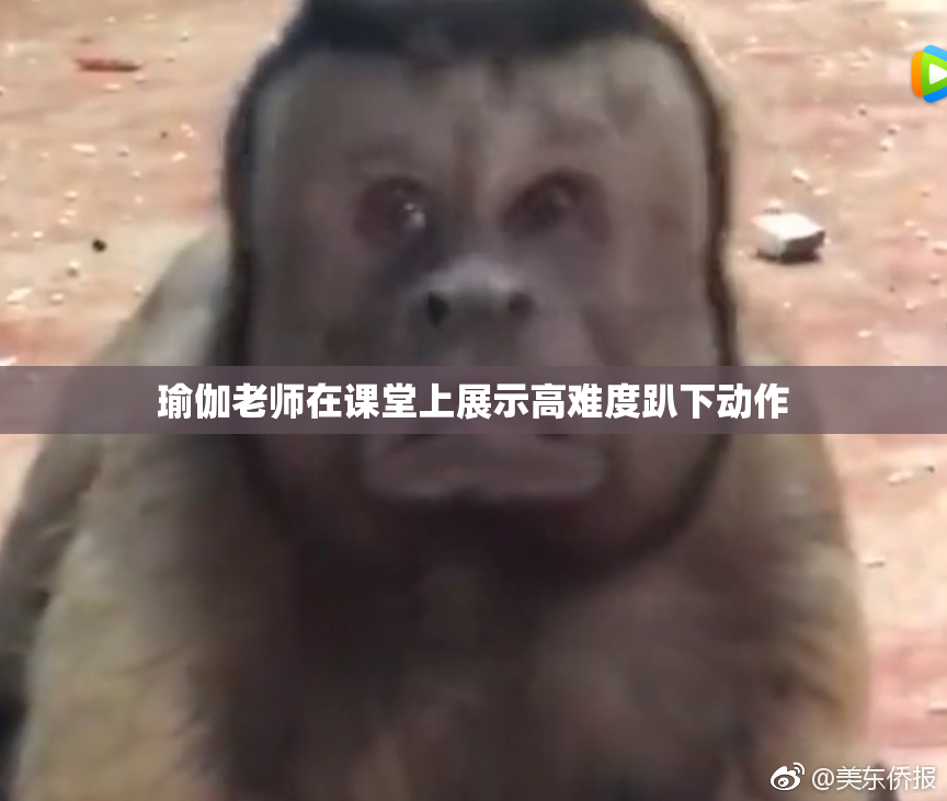 瑜伽老师在课堂上展示高难度趴下动作