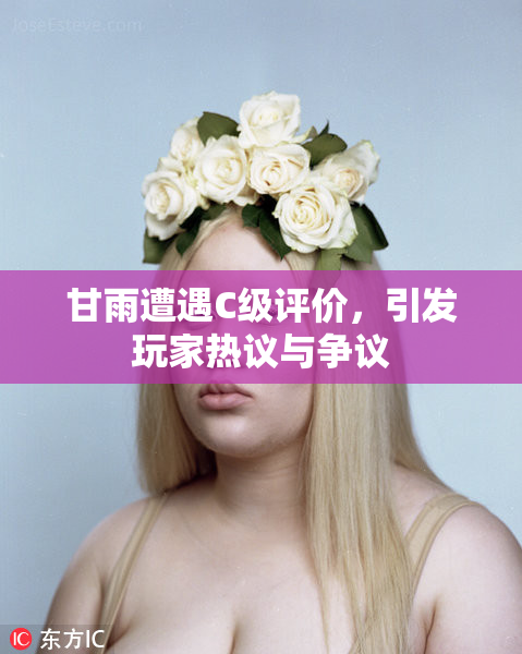 甘雨遭遇C级评价，引发玩家热议与争议
