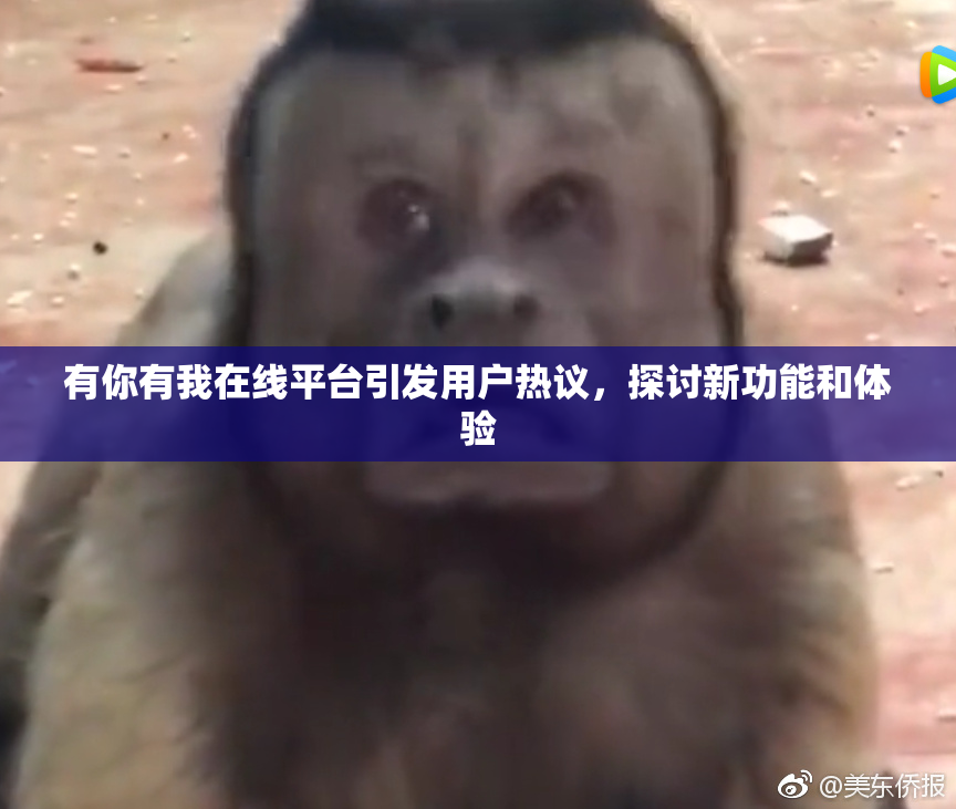 有你有我在线平台引发用户热议，探讨新功能和体验