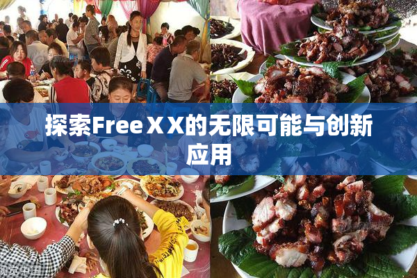 探索FreeⅩX的无限可能与创新应用