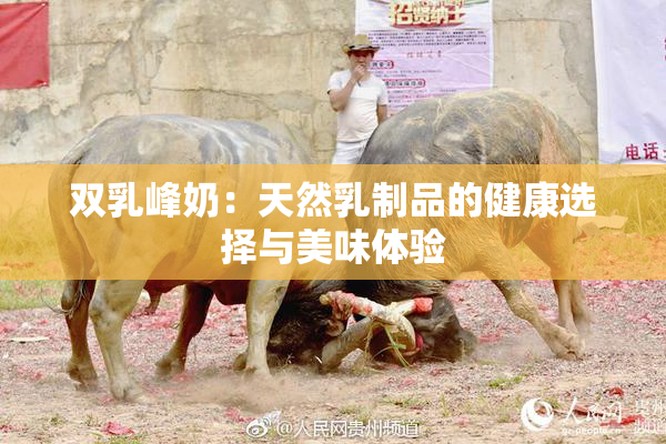双乳峰奶：天然乳制品的健康选择与美味体验