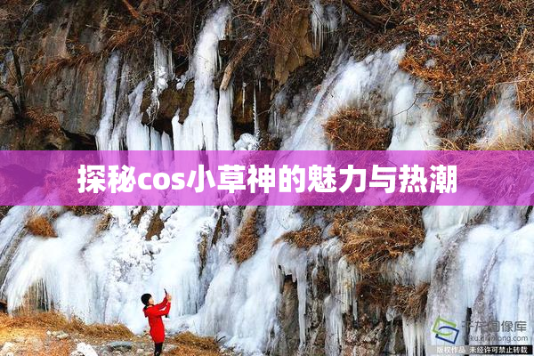 探秘cos小草神的魅力与热潮